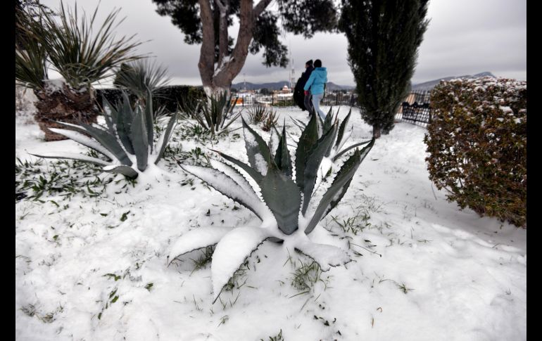 Un ambiente muy frío se pronostica en la mayor parte de México, con nevadas o aguanieve en regiones de Chihuahua, Coahuila, Nuevo León, Durango, Tamaulipas, Zacatecas, San Luis Potosí, en las zonas volcánicas y en la llamada Sierra Negra, en Puebla. EFE/ M. Sierra