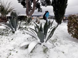 Las autoridades estatales activaron en Plan de Contingencia Invernal 2017-2018 por los próximos dos días. EFE / M. Sierra