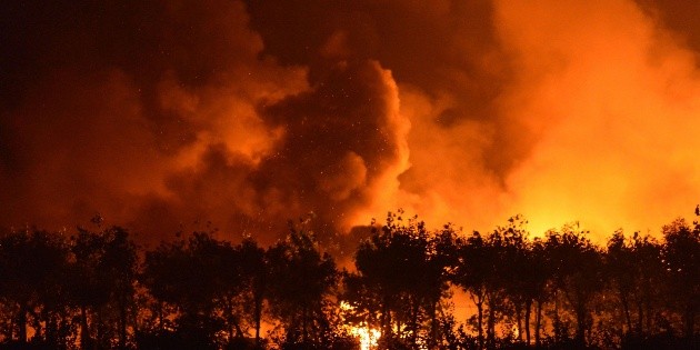 Incendio en el sur de China deja ocho muertos