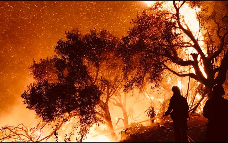Los incendios masivos de California han arrasado unos 700 kilómetros cuadrados. AP / M. Eliason/Santa Barbara County Fire Department