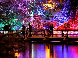 El mundo en imágenes del 10 de diciembre de 2017