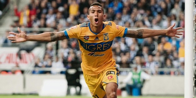 Garra de campe&oacute;n