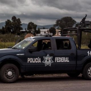 Investigan aseguramiento de dos toneladas de mariguana en Hostotipaquillo