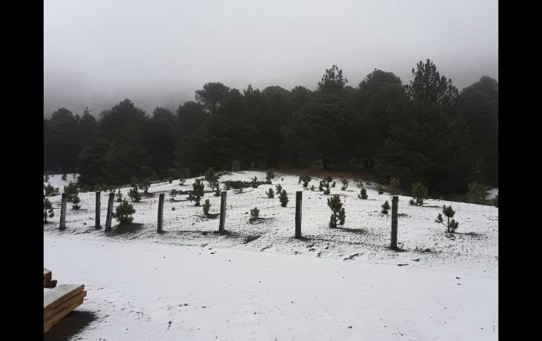 Esta es la primer nevada del año en el Volcán de Colima. ESPECIAL/ Protección Civil Jalisco
