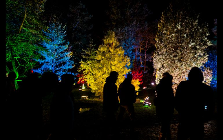 Visitantes caminan más allá de los árboles iluminados en el espectáculo de luces del Jardín de Navidad, en Berlín. AFP / J. Macdougall