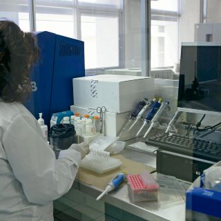 La mitad de los “no nombre” tuvo muertes violentas