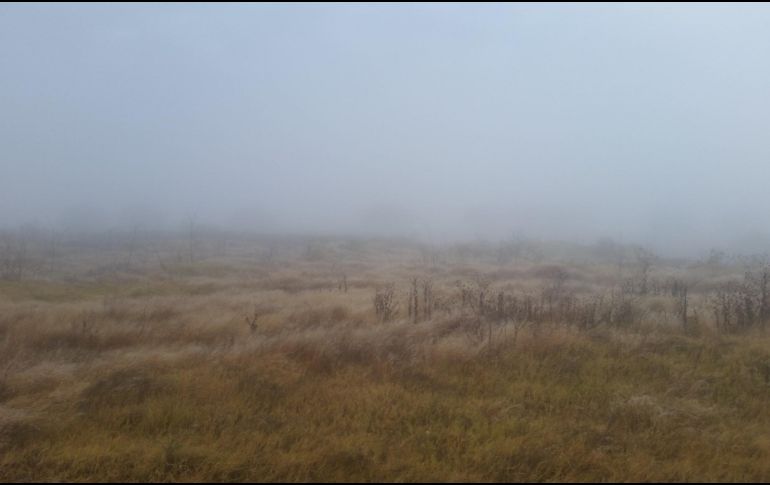 Por segundo día consecutivo los municipios de la ZMG amanecieron cubiertos de neblina. ESPECIAL/ Yazmin Tania Gudiño