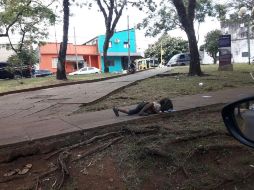 La imagen ha sido compartida casi tres mil veces en Facebook. ESPECIAL/MisionesOnline