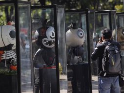 La exhibición forma parte de las actividades paralelas de la muestra 