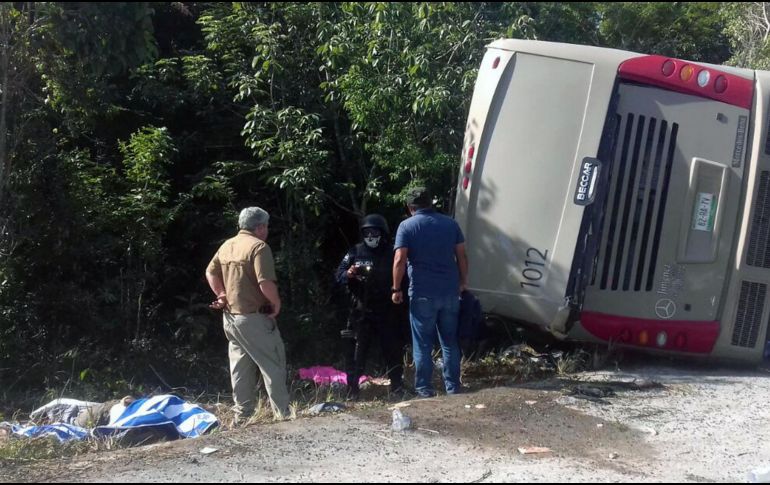 Esta mañana se registró el accidente en el kilómetro 5 de la carretera Mahahual-Cafetal, donde un autobús de servicios turísticos atendía un tour. AFP / M. Ortega