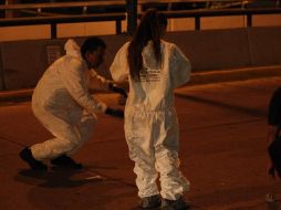 Este es el primer hallazgo de este tipo en la historia de BCS. EL INFORMADOR / ARCHIVO