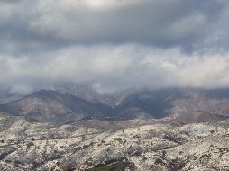 Las zonas de incendios tienen grandes cantidades de desechos que deben ser 