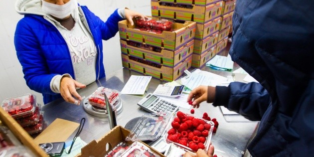 Exportaciones agroalimentarias a Canad&aacute; crecen durante 2017