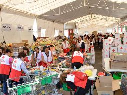 Después de los terremotos de septiembre, la institución repartió 492 mil kilogramos de despensas. EL INFORMADOR / ARCHIVO