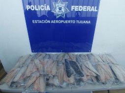 En una hielera se encontraron 52 empaques con dos filetes cada uno. TWITTER / @PROFEPA_Mx