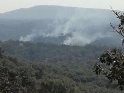 Se sospecha que fue provocado de manera accidental por visitantes al bosque, que no sofocaron de manera correcta alguna fogata. ESPECIAL/ Bomberos Zapopan
