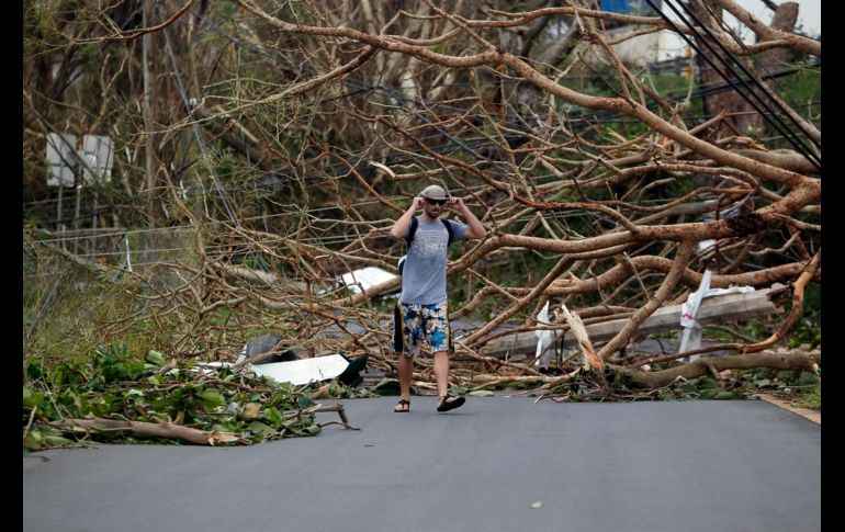 FAJARDO, PUERTO RICO (21/SEP/2017).- Cayeron de forma masiva árboles y postes de energía eléctrica , que dejaron a toda la población puertorriqueña sin luz. AFP/R. Arduengo