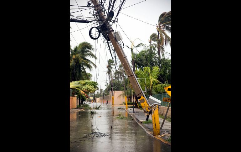 BÁVARO, REPÚBLICA DOMINICANA (21/SEP/2017).- Las fuertes lluvias y el viento, con ráfagas que han superado los 110 km/h, han ocasionado el derribo de árboles y postes, que han dejado sin electricidad a más de 300 mil dominicanos. AP/T. Fernández
