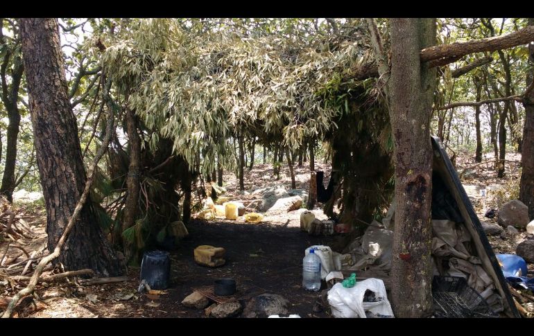 TALA, JALISCO (21/JUL/2017).- Autoridades hallaron dos campamentos en un par de predios en la población de Navajas que eran utilizados por un grupo criminal. ESPECIAL
