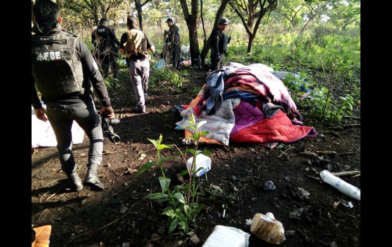 TALA JALISCO (27/JUL/2017).- Unos 300 elementos estatales se desplegaron en la zona. ESPECIAL