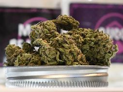 Por su economía y uso de la droga, California concentrará el mayor mercado de cannabis del mundo. AFP/R. Beck