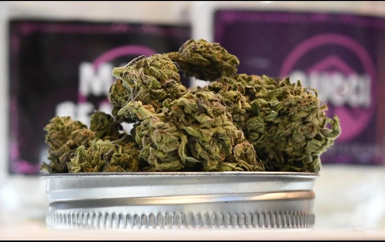 Por su economía y uso de la droga, California concentrará el mayor mercado de cannabis del mundo. AFP/R. Beck