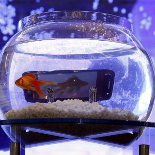 Descubren vidrio que se autorregenera