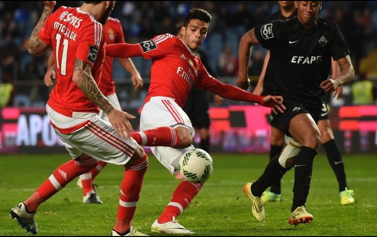El Benfica ganó el partido en cuestión por marcador 1-0. AFP/ARCHIVO
