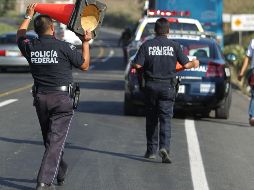 El escenario donde el animal perdió la vida, fue la Autopista México-Puebla. EL INFORMADOR/ ARCHIVO