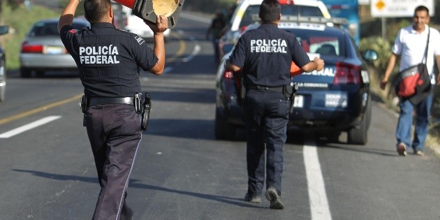 Cerdo provoca accidente carretero en Puebla