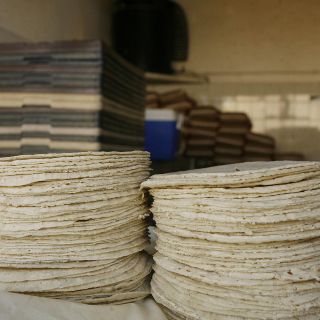Prevén aumento en el precio de la tortilla