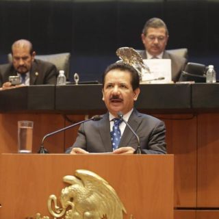Senadores alistan impugnación de Ley de Seguridad