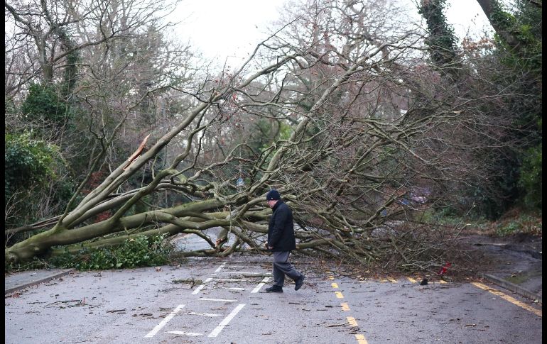 Los vehículos volcados y las ramas causaron varios cortes en autopistas de Inglaterra. Un hombre camina por una carretera en Harrow, al noroeste de Londres.
