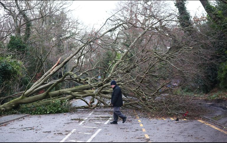Varias carreteras quedaron cerradas por la caída de árboles, como ésta en Harrow. EFE/ N. Hall
