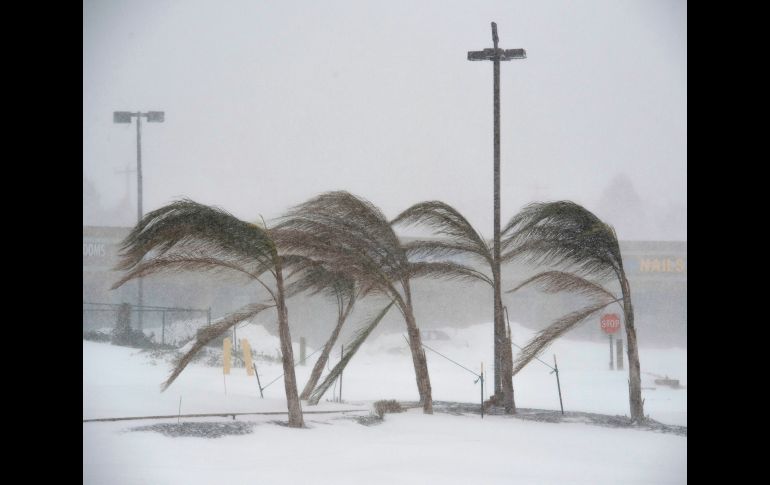 El viento dobla palmeras en Rehoboth, Delaware. La tormenta amenaza ahora con convertirse en una tempestad invernal histórica al avanzar hacia el noreste.
