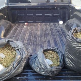 Policías tapatíos aseguran 15 kilos de mariguana