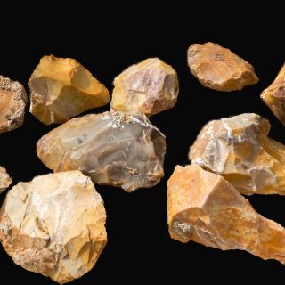 Arqueólogos encuentran yacimiento de hace medio millón de años