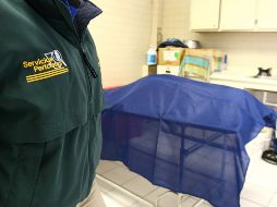 De enero a noviembre de 2017 llegaron 26 mil 573 víctimas de homicidio a las morgues del país. SUN