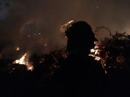 Los árboles que se encontraban en el lugar se usaban para hacer composta, informaron las autoridades. ESPECIAL/ BOMBEROS GUADALAJARA