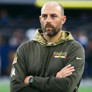 Ya hay domador de osos en Chicago