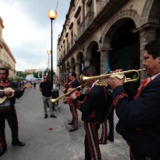 Decisión de juez no está por encima de los reglamentos: síndica tapatía
