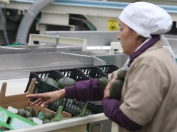 La Femac cuenta con más de 60 empresas jaliscienses asociadas lideradas por mujeres. EL INFORMADOR / ARCHIVO