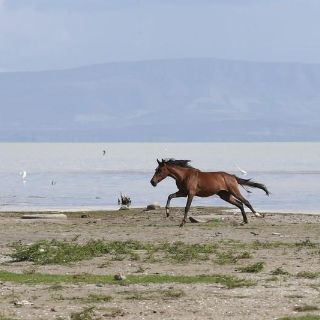 Lago de Chapala almacena casi mil millones de metros cúbicos de agua