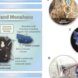 Científicos creen "realmente posible" que haya vida extraterrestre