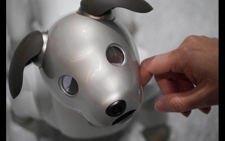 Un invitado juega con el nuevo robot Aibo en el salón de exhibición de Sony en Tokio. La compañía lanzó hoy el robot que asemeja un perro. AP/E. Hoshiko