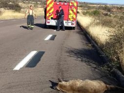 El hecho ocurrió este jueves antes del mediodía en el kilómetro 4 del libramiento a Calvillo, en dirección de la carretera sur 45. ESPECIAL