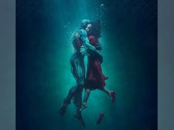 ESPECIAL /  Fox Searchlight