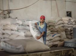 La consultoría Oxford Economics señala que provocará una baja de ingresos a la industria azucarera de 700 dólares por hectárea. EL INFORMADOR/Archivo