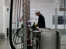 Los 93 mil 63 empleos generados en Jalisco en 2017 representan 11.6% del total nacional. EL INFORMADOR/Archivo