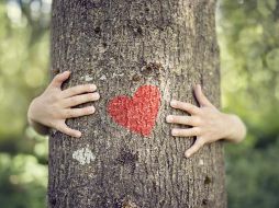 ¿Por qué la RSE cobrará mayor relevancia en 2018?